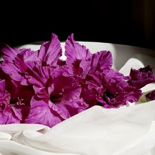 Схема вышивки «Гладиолус»