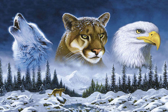 ТРИО ЛЕСА - лес, горы, пейзаж, львица, орел, зима, птица, волк, хищник - оригинал