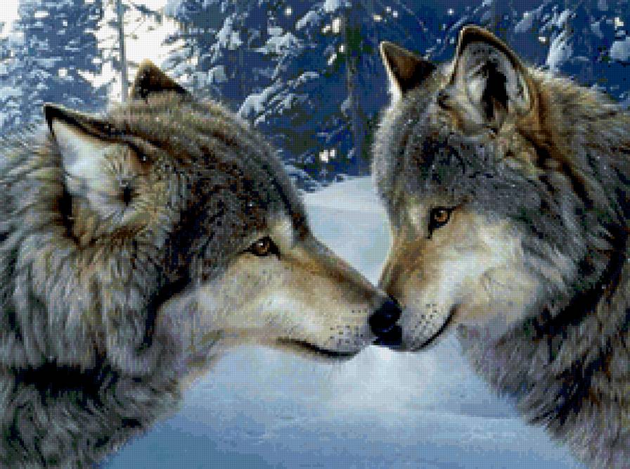 ВЗОИМОПОНИМАНИЕ - дружба, волк, зима, зуб за зуб, ока за ока, соблазн, хищник - предпросмотр