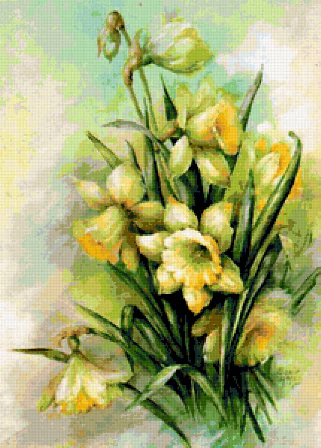 Нарциссы - нарциссы, растения, цветы - предпросмотр