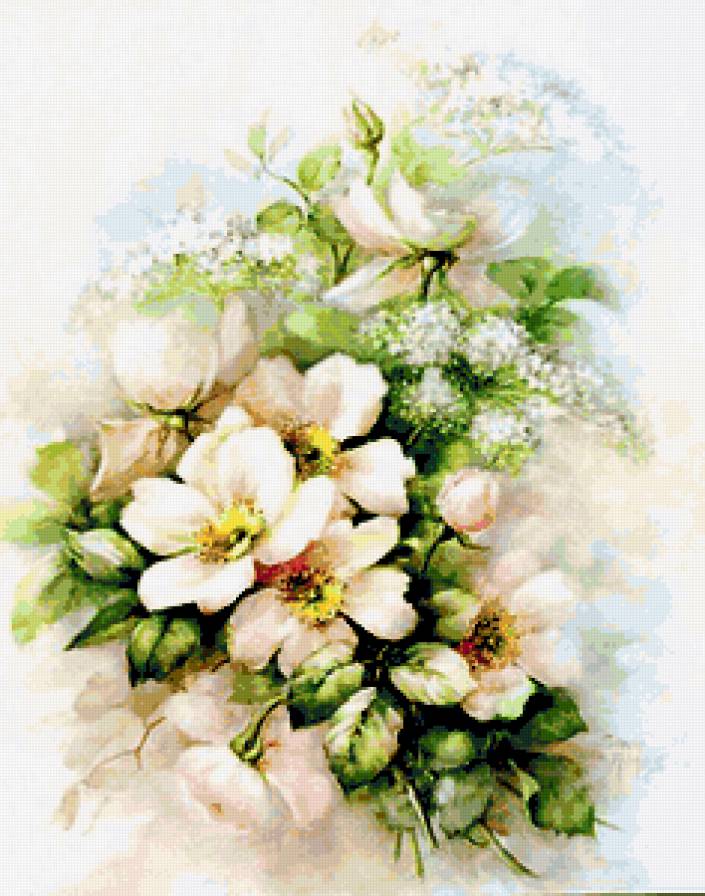 Цветы шиповника. - цветы, растения. - предпросмотр