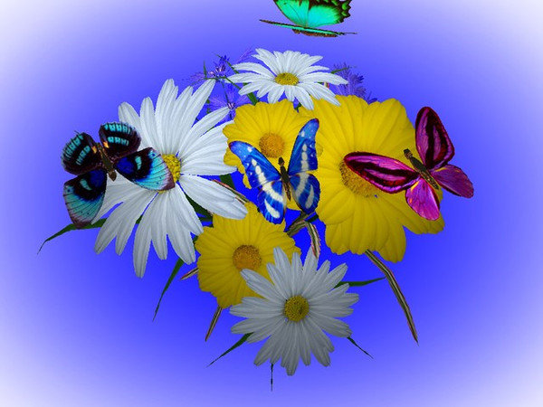 Цветы и бабочки - цветы, картина, бабочки - оригинал
