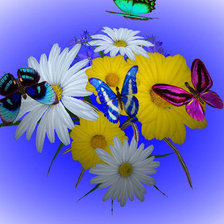 Оригинал схемы вышивки «Цветы и бабочки» (№221611)