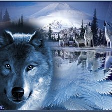 Схема вышивки «Волки»