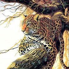 Схема вышивки «Подушка Дикая кошка (леопард)»
