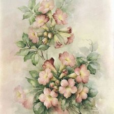 Оригинал схемы вышивки «Цветы» (№221860)