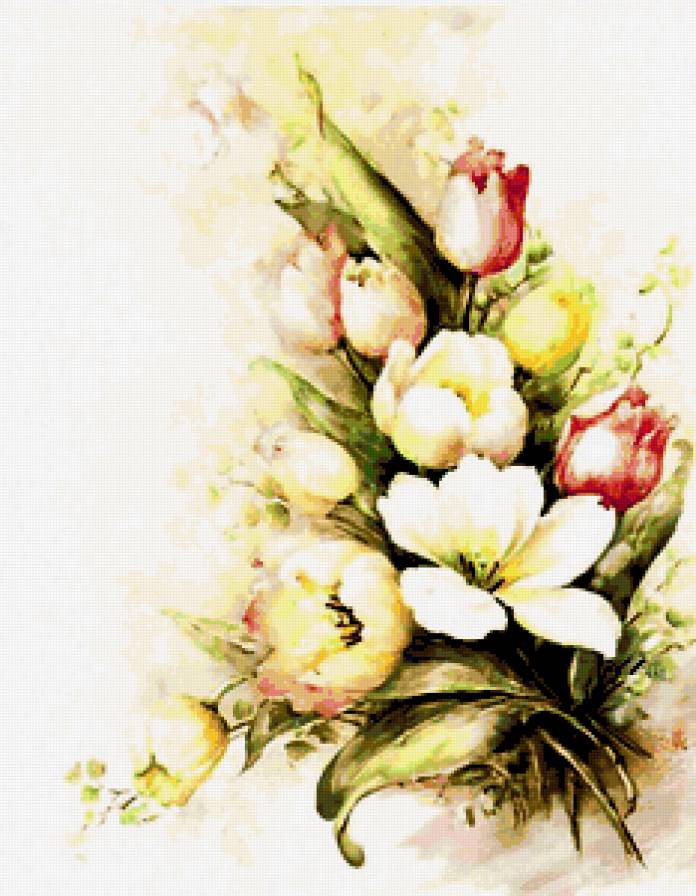 Тюльпаны - букеты, тюльпаны, цветы - предпросмотр