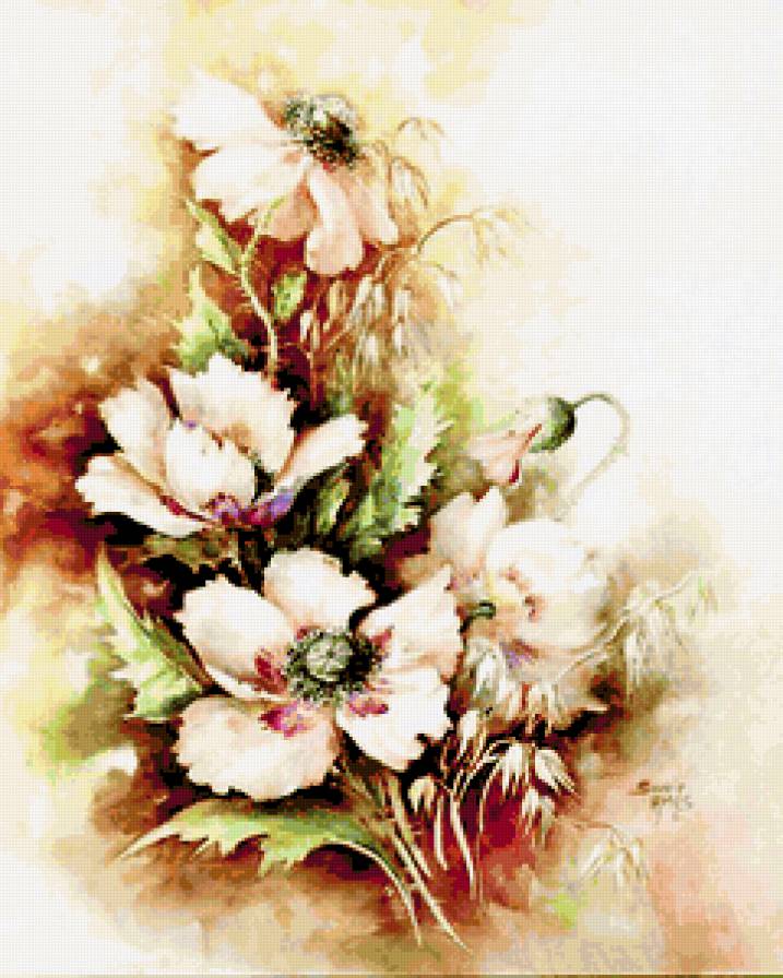 Розовые маки. - маки, цветы, букеты - предпросмотр