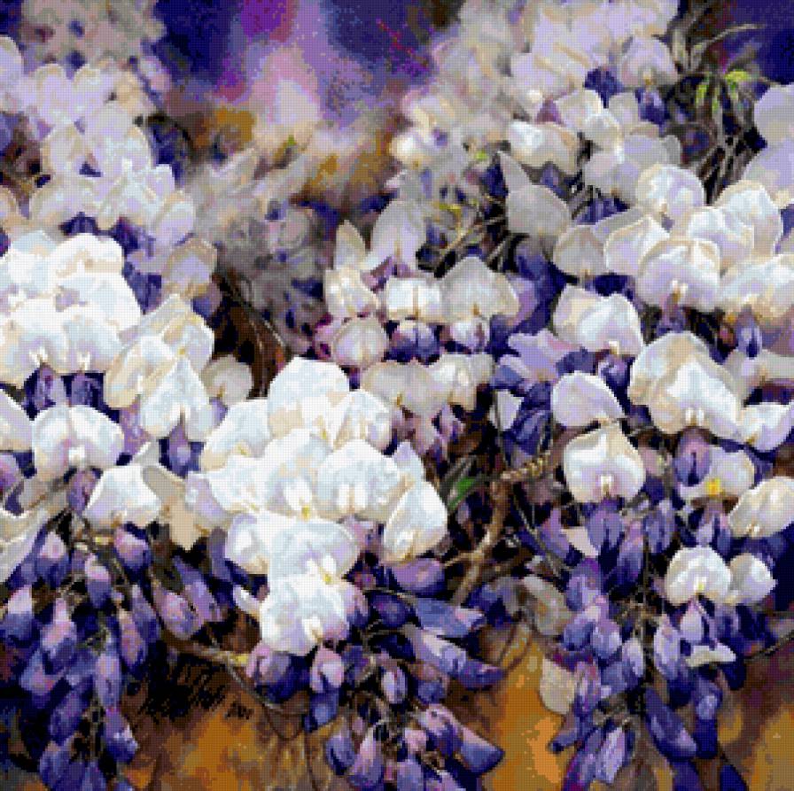 Гроздья Глицинии - глициния, цветы - предпросмотр