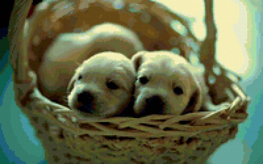 Прогулка - животные - предпросмотр