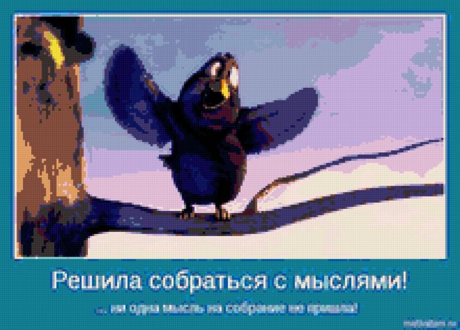 шутка - предпросмотр