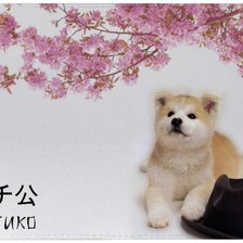 Схема вышивки «Хатико»