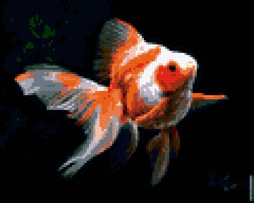 Рыбка - предпросмотр