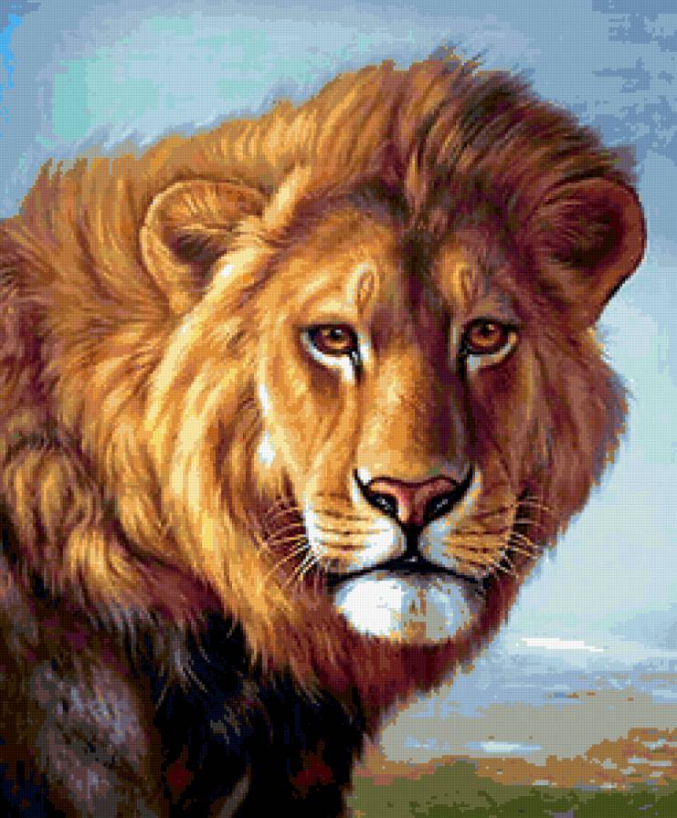 ЦАРЬ - царь зверей, взгляд, африка, хищник, лев - предпросмотр