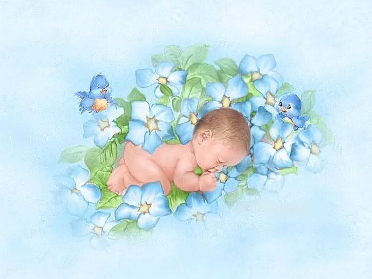 №222217 - оригинал