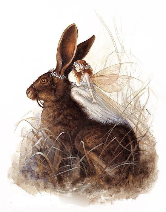 №222219 - оригинал