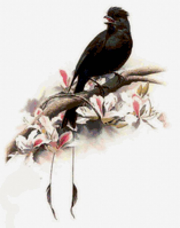 Птица - цветы, природа, птица - предпросмотр