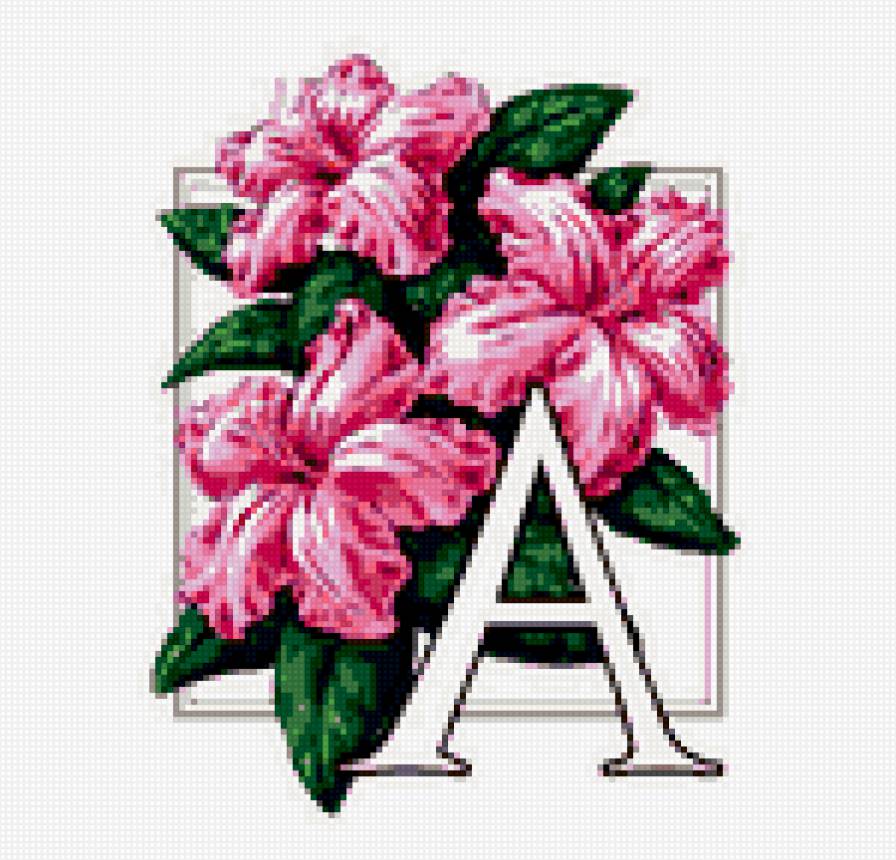 буква - буква, амараллис, а - предпросмотр