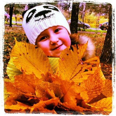 №222639 - оригинал