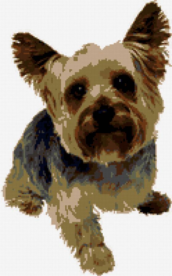 Собачка - предпросмотр