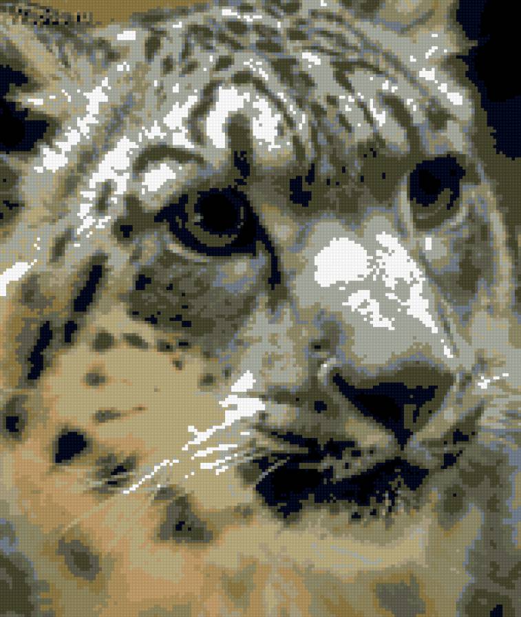 Барс - предпросмотр