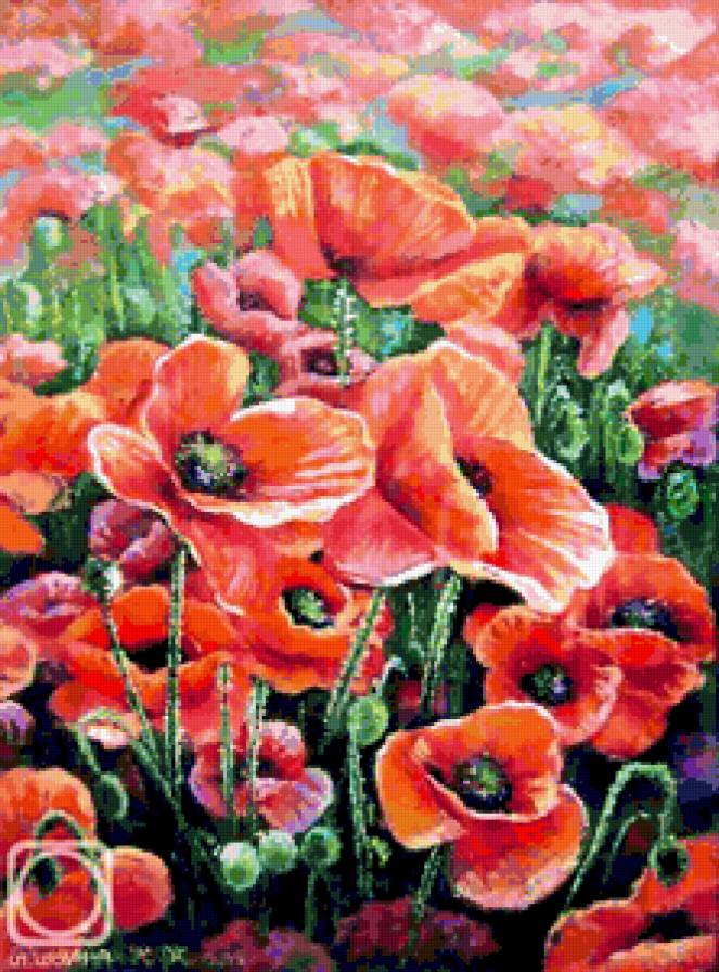 Маки в поле - маки, картина, цветы, натюрморт, мак, живопись, поле, букет - предпросмотр