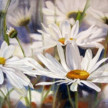 Схема вышивки «Ромашки»