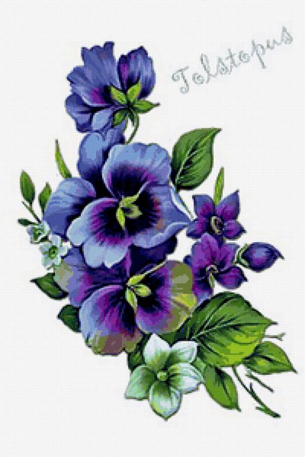 №223132 - предпросмотр