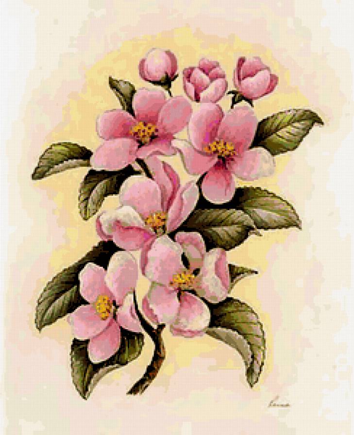 №223133 - предпросмотр