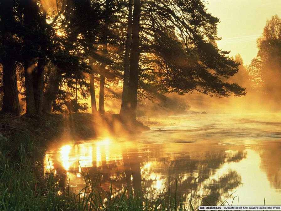 №223162 - оригинал