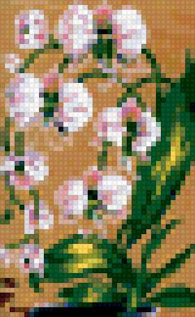 №223174 - предпросмотр