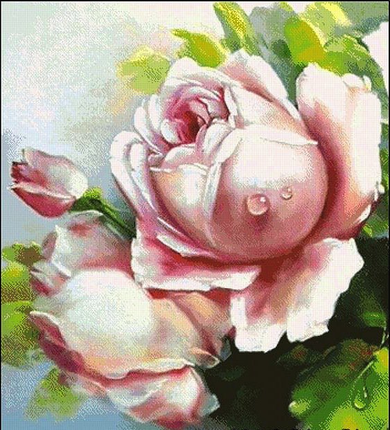 розы - натюрморт.розы, цветы, природа, , романтика, букет - оригинал