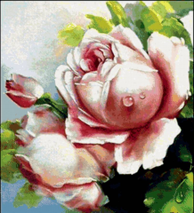 розы - природа, , букет, цветы, романтика, натюрморт.розы - предпросмотр