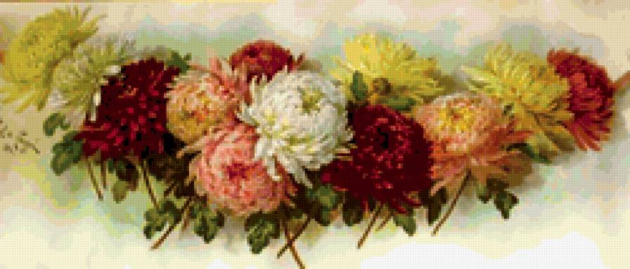 цветы - романтика, букет, цветы, природа - предпросмотр