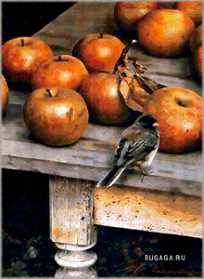 яблочки - яблоки, животные, птицы, природа, фрукты, натюрморт - предпросмотр