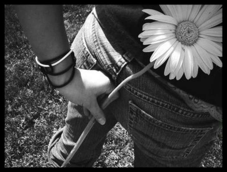 черно-белое - люди, ромашка, цветы, девушка, природа - оригинал