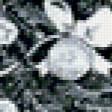 Предпросмотр схемы вышивки «черно-белое» (№223317)
