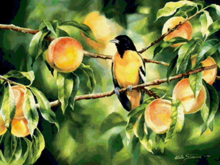 ПЕРСИКИ НА ВЕТКЕ - ветка, живопись, персик, птичка - предпросмотр