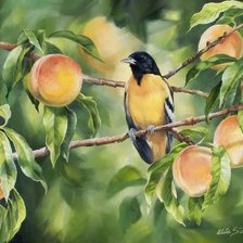 Схема вышивки «ПЕРСИКИ НА ВЕТКЕ»