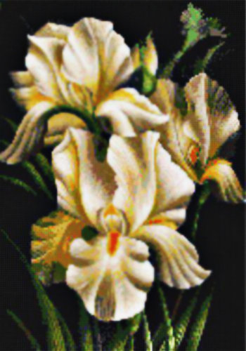 №223465 - оригинал