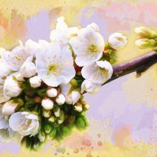 Схема вышивки «Цветение»