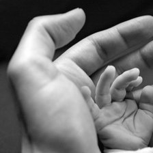 Схема вышивки «№223526»