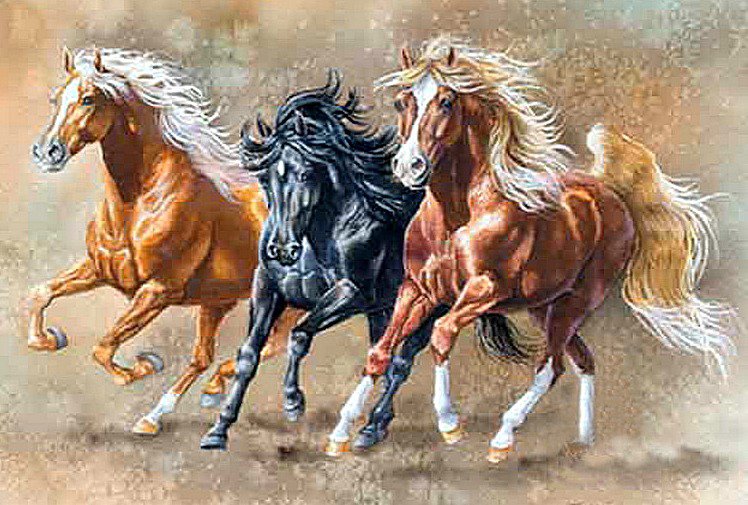 Тройка лошадей - животные, масти, лошади - оригинал