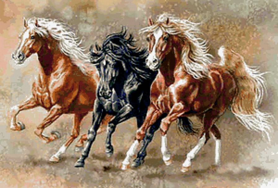 Тройка лошадей - лошади, животные, масти - предпросмотр
