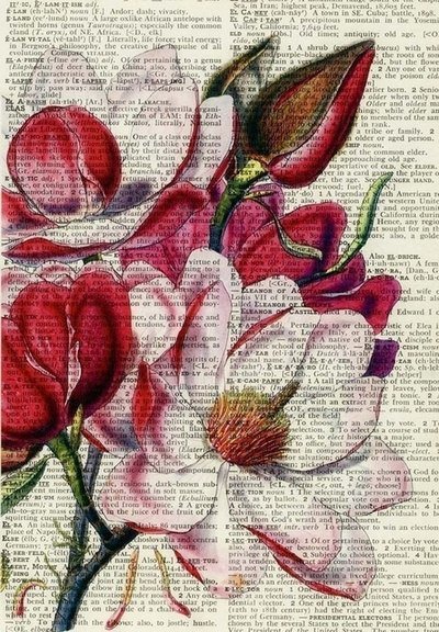 №223581 - цветы, газета, букет - оригинал
