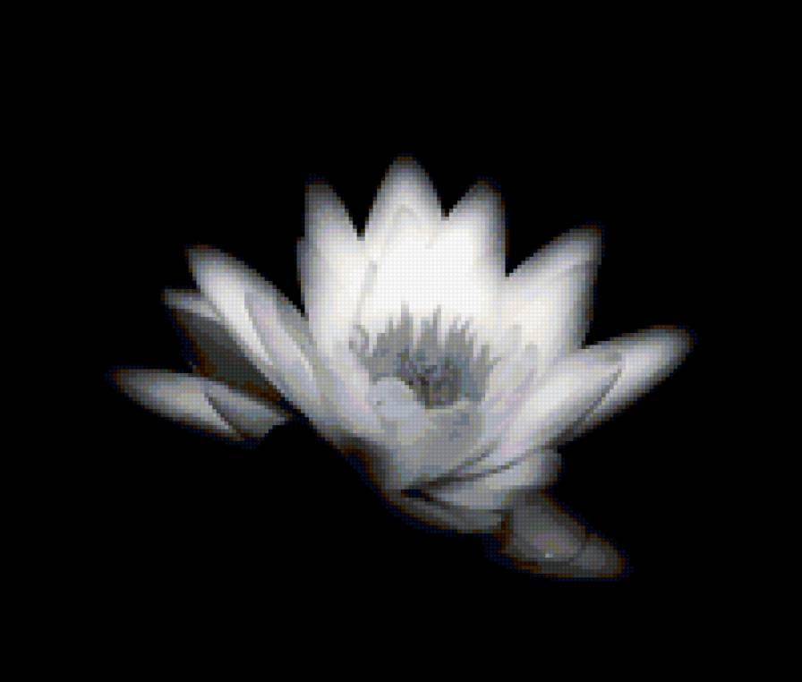 №223623 - предпросмотр