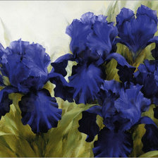 Схема вышивки «№223675»