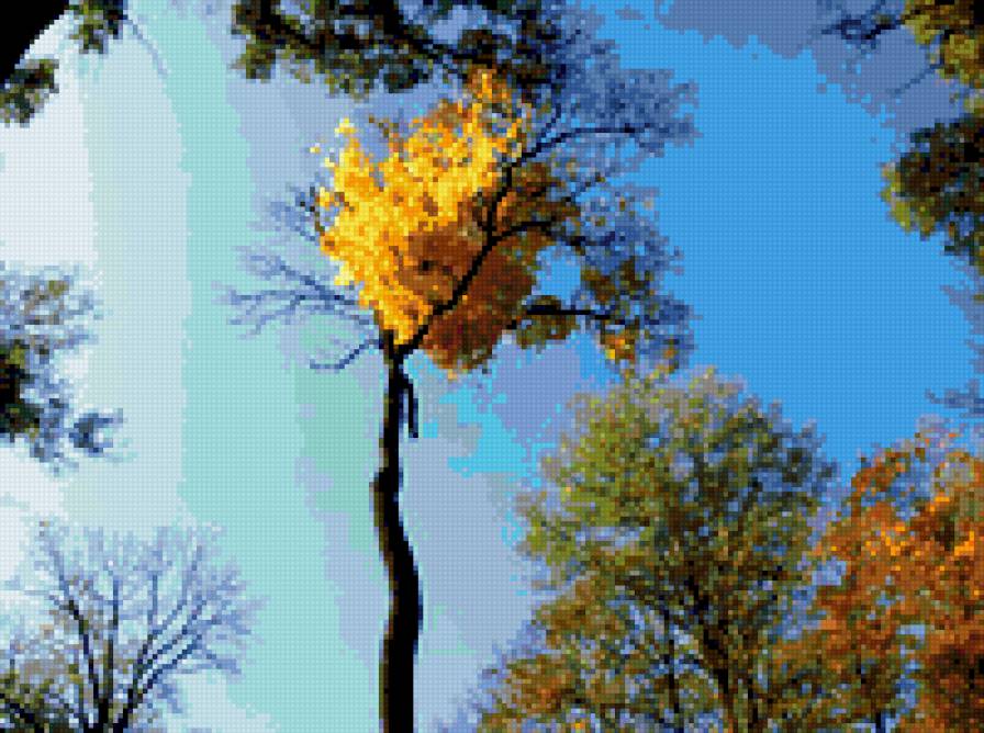 осень - осенний день, осеннее небо, осень - предпросмотр