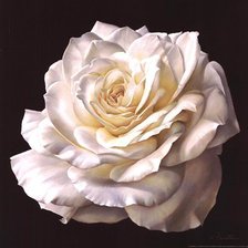 Схема вышивки «№223704»