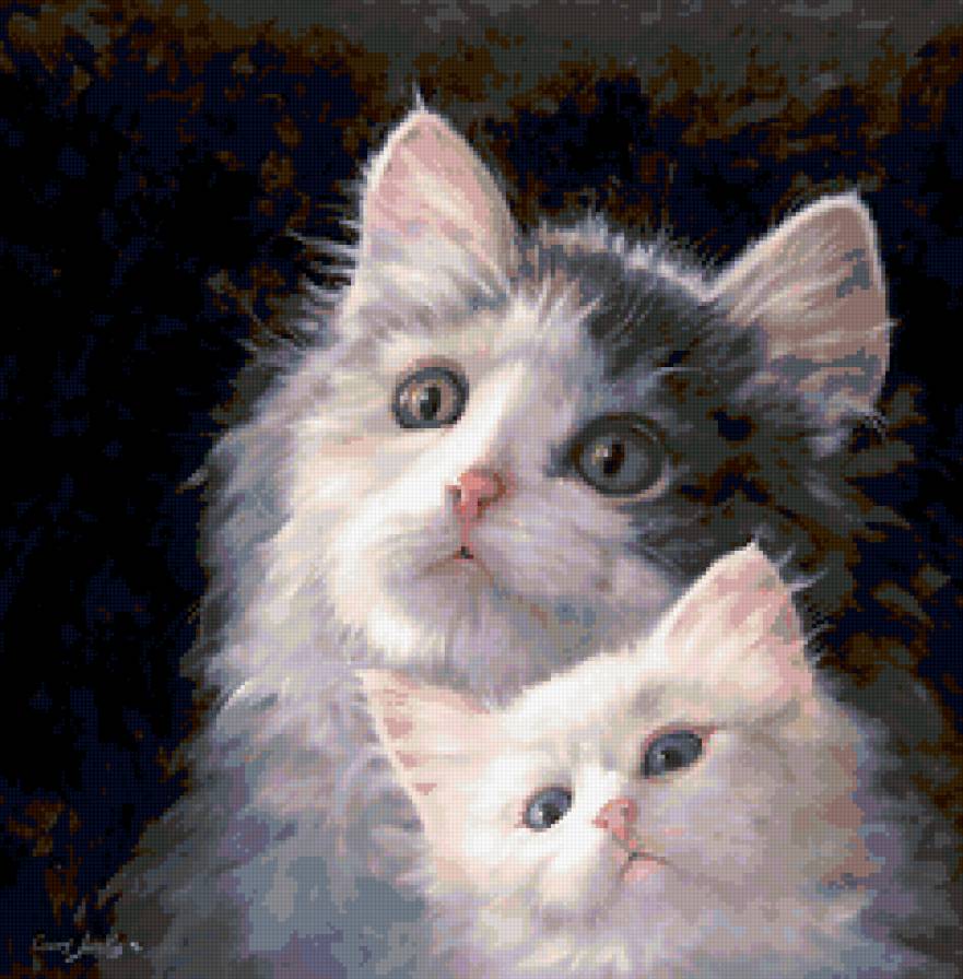 Котята - кот - предпросмотр